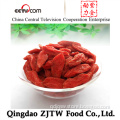 Super Red Goji Berries